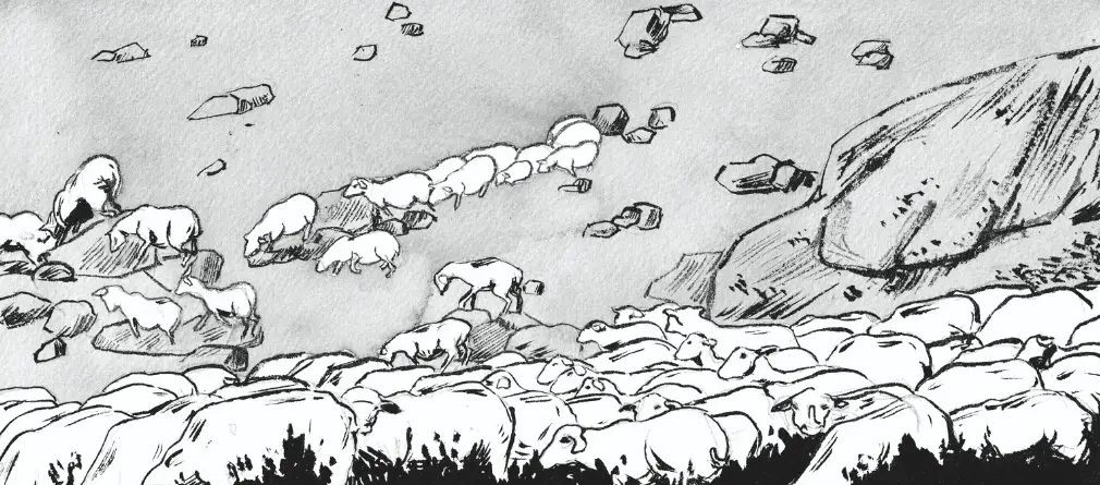 Philosopher avec les bergers