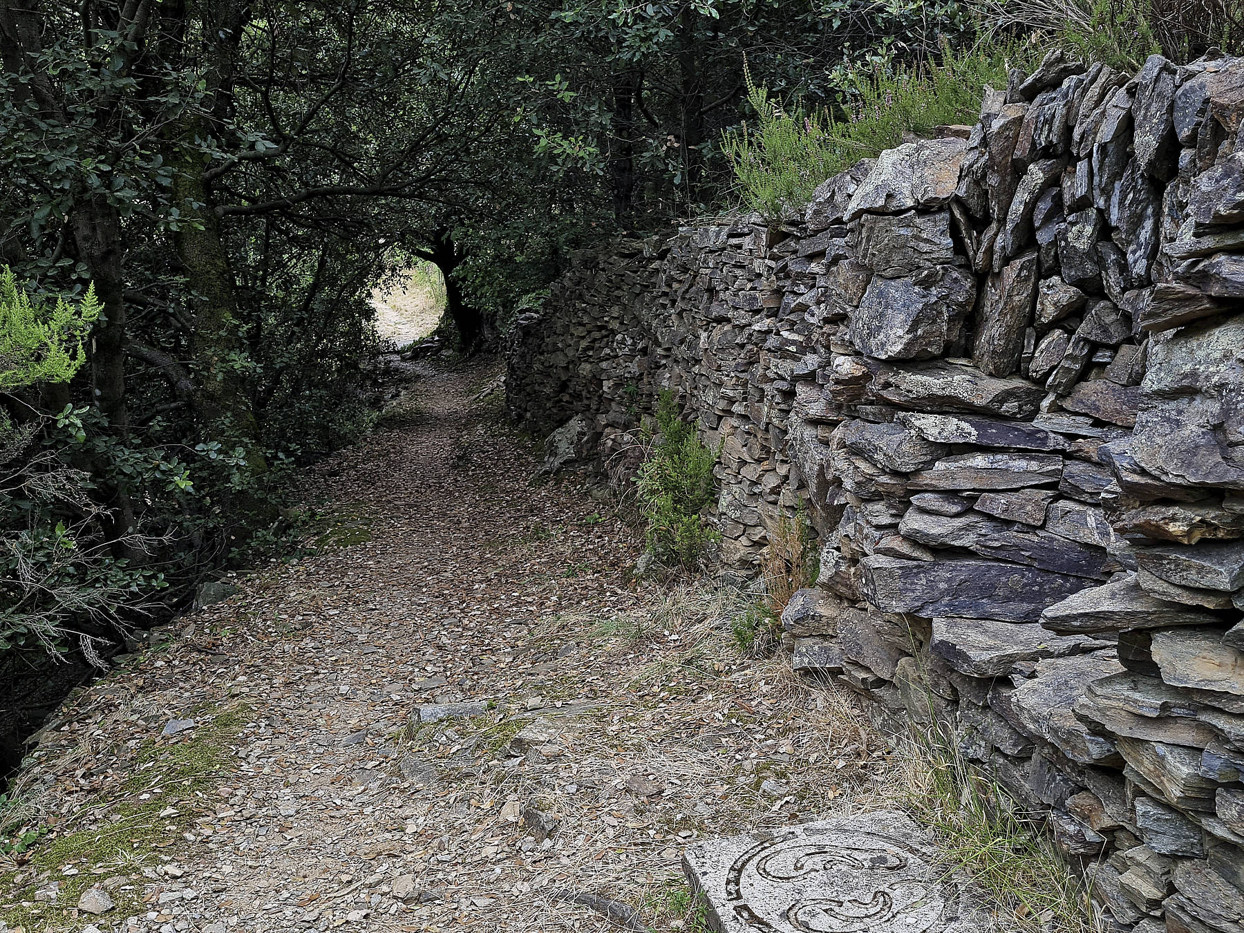 SENTIER LAUZES photo PhilippeCadu oeuvre Akio Suzuki