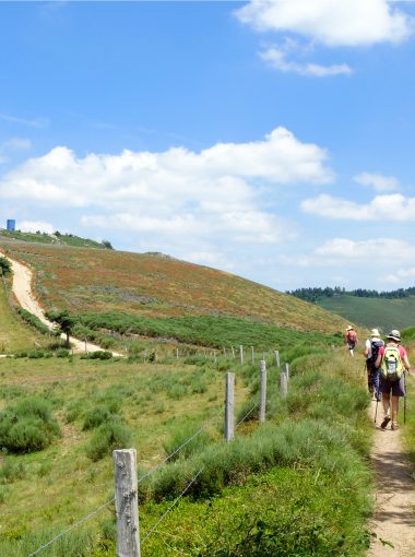 Toutes les actualités