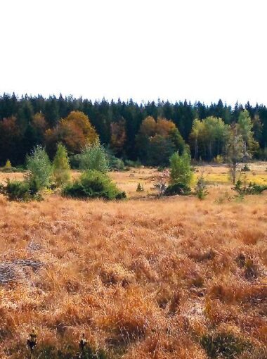 « Partages » 2023. Art contemporain, biodiversité, patrimoine industriel et métiers d’art du verre avec la Communauté de communes Ardèche des Sources et Volcans