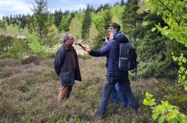 A voir et à écouter