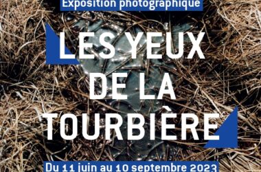 « Les yeux de la tourbière », exposition du photographe Grégoire Edouard
