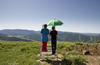 Les Mires du PARTAGE DES EAUX ont repris des couleurs !
