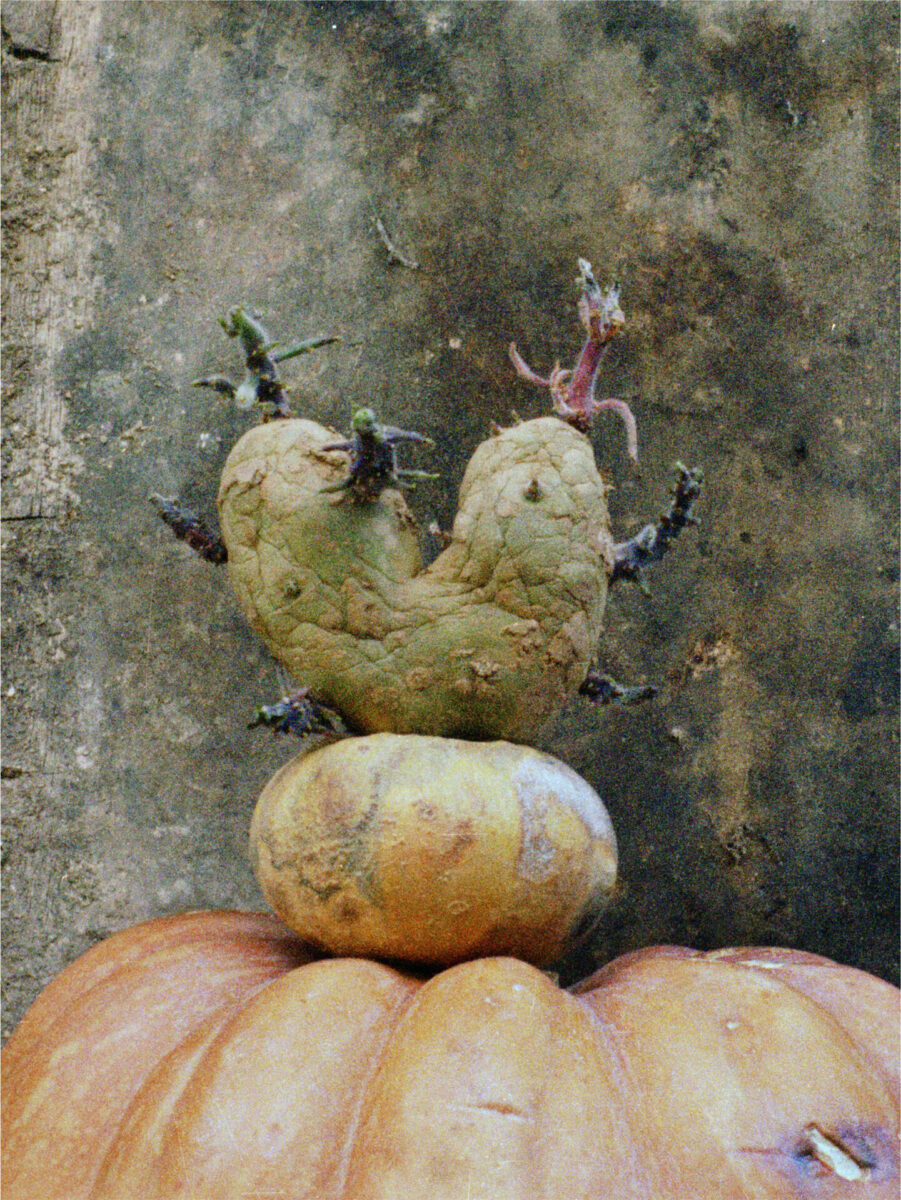 CHATEAU AUBENAS Patate Coeurs 8 photographie, 2002 Agnès Varda MD