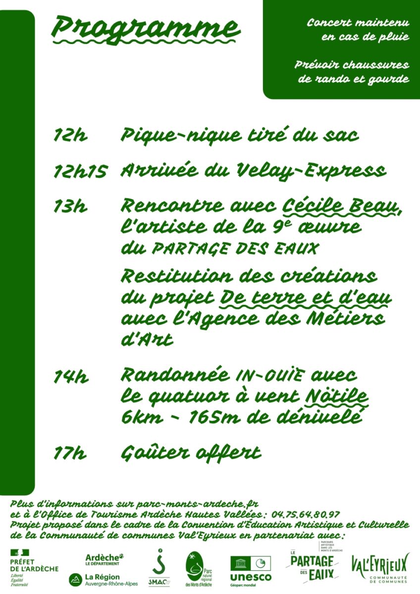 Flyer2 web